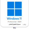 Windows 11 Pro OEM