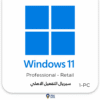 Windows 11 Retail